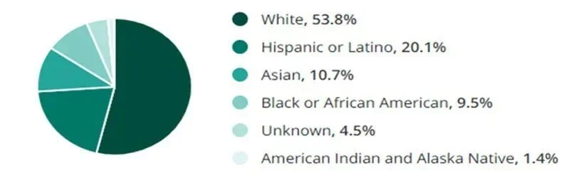 Caregiving Jobs Ethnicity and Race Demographic Chart