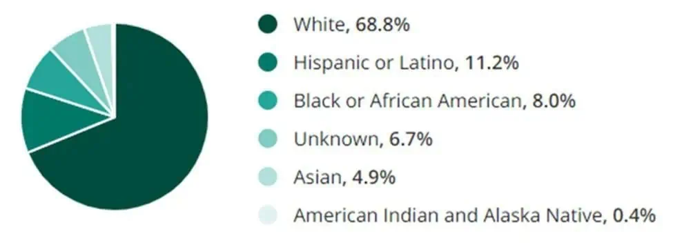 Entry Level Jobs Ethnicity and Race Demographic Chart