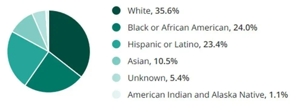 Healthcare Jobs Ethnicity and Race Demographic Chart